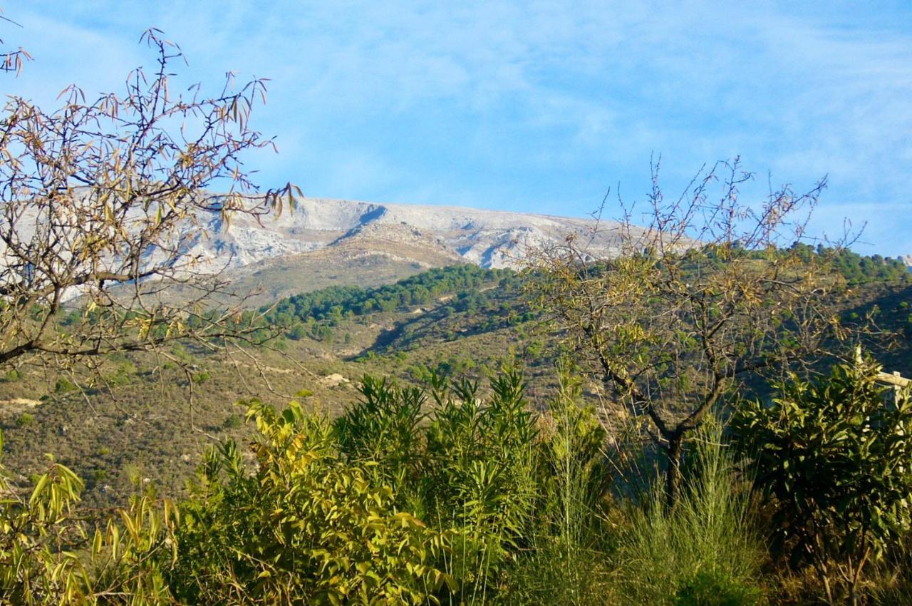 Casa Jardin Natural Sedella Kültér fotó