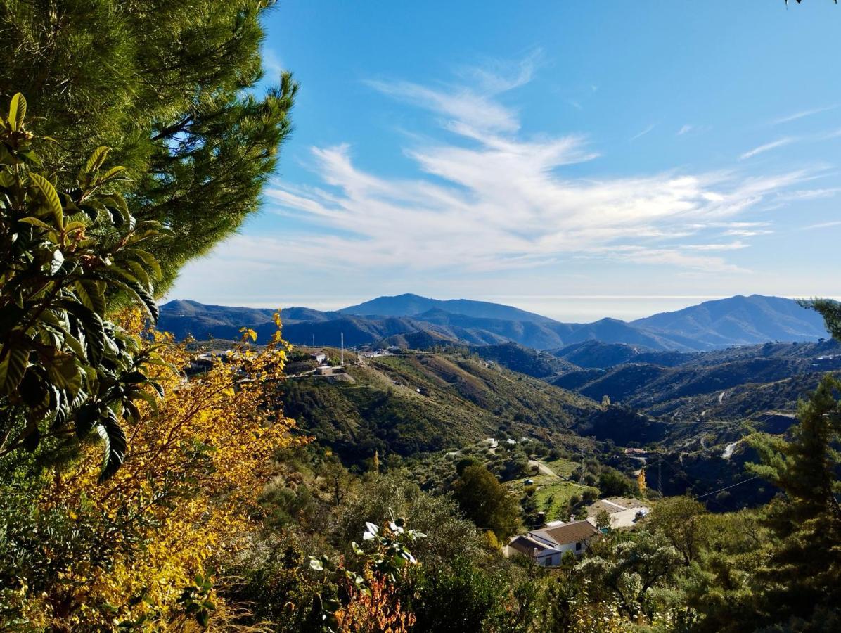 Casa Jardin Natural Sedella Kültér fotó