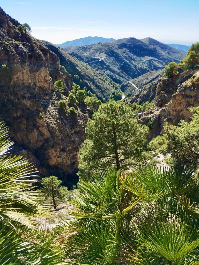 Casa Jardin Natural Sedella Kültér fotó