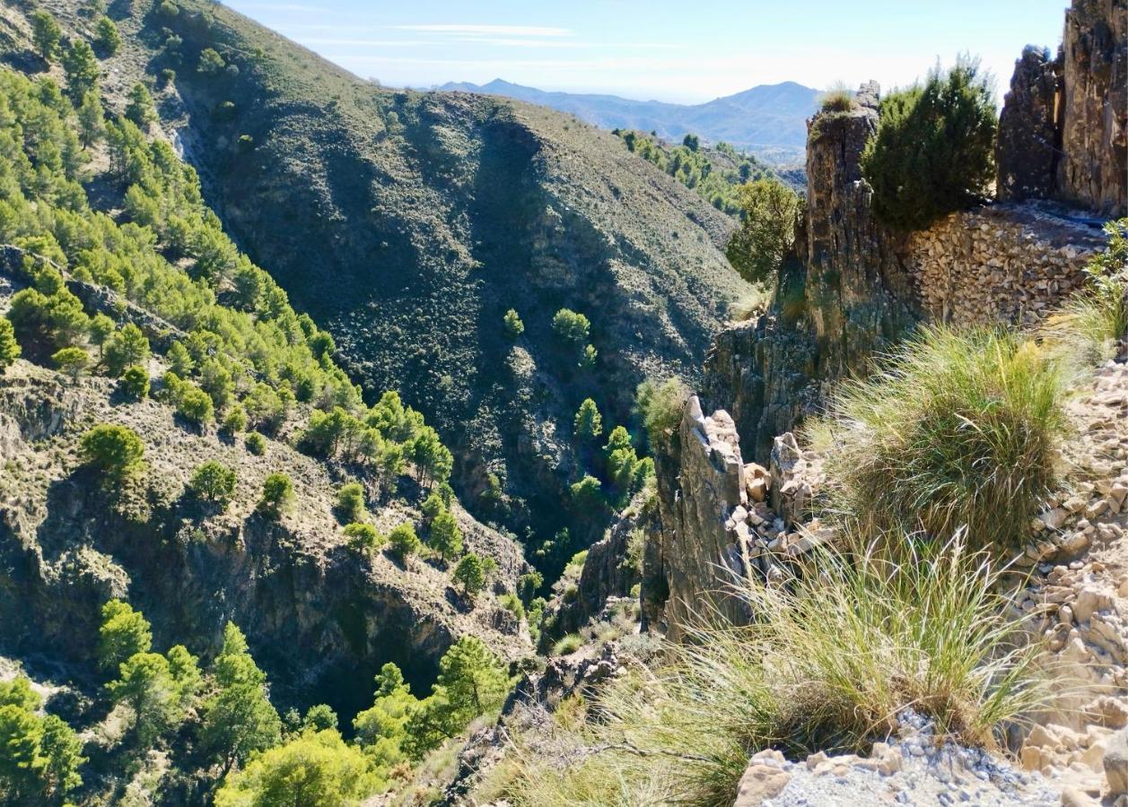 Casa Jardin Natural Sedella Kültér fotó
