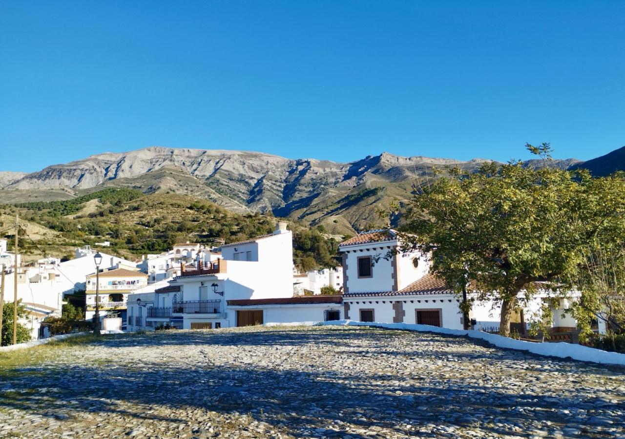 Casa Jardin Natural Sedella Kültér fotó
