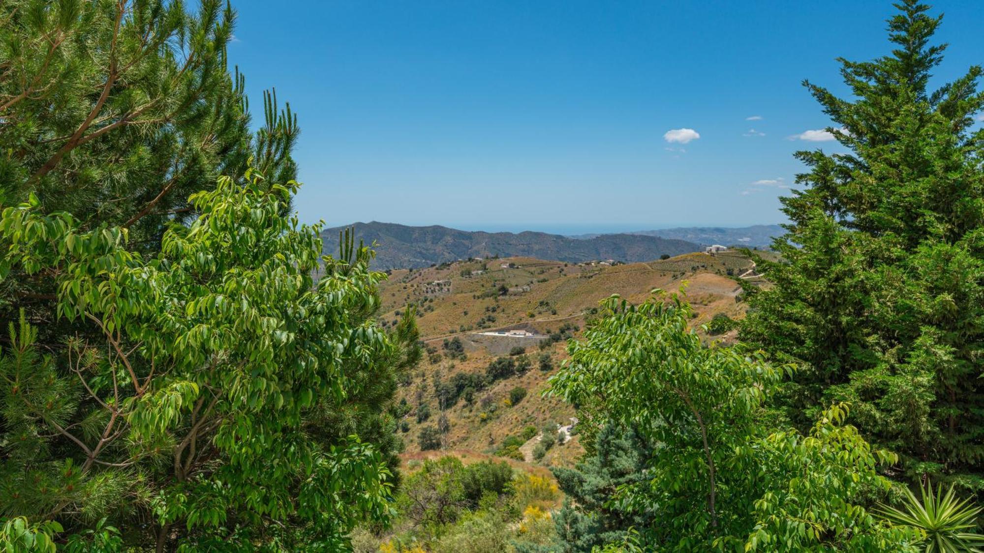 Casa Jardin Natural Sedella Kültér fotó