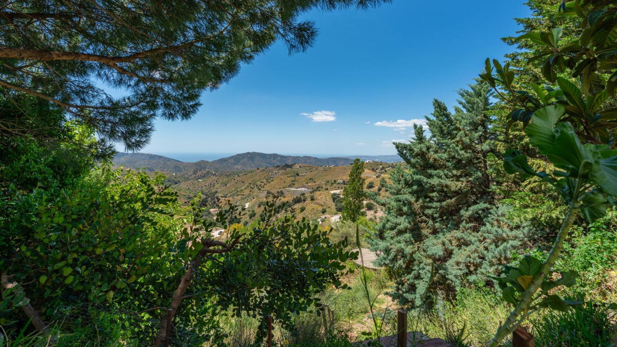 Casa Jardin Natural Sedella Kültér fotó